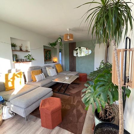 Appartement T3 - Foret & Plage Anglet Buitenkant foto