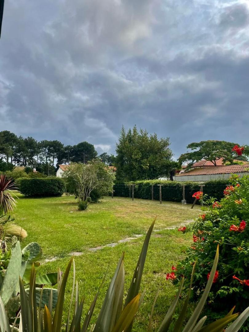 Appartement T3 - Foret & Plage Anglet Buitenkant foto