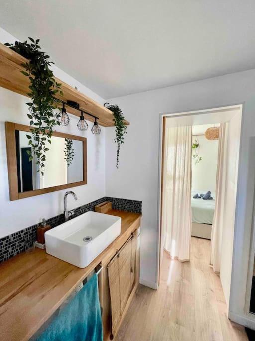 Appartement T3 - Foret & Plage Anglet Buitenkant foto